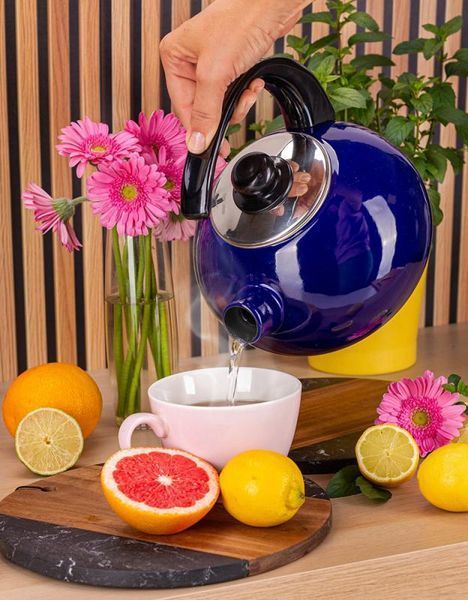 Чайник емальований Kamille "Boiling Water" 2.5л зі свистком, синій глянець (арт. 32329209) фото